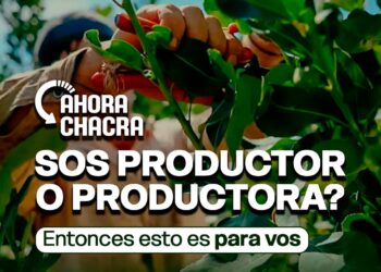 “Ahora Chacra”: el  programa provincial que reintegra el 20% en la compra de insumos productivos