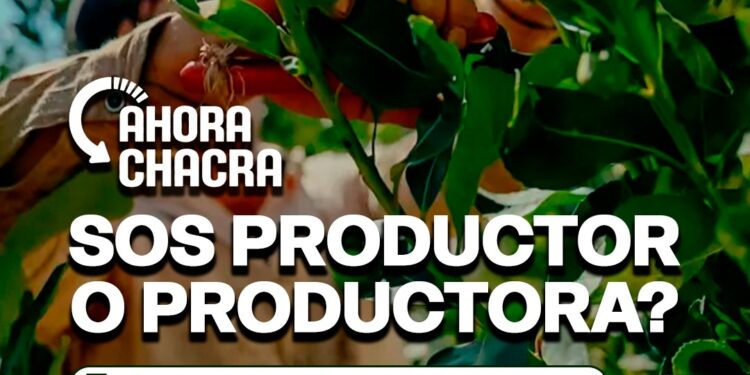 “Ahora Chacra”: el  programa provincial que reintegra el 20% en la compra de insumos productivos