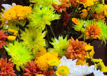 Se consolida la floricultura como actividad en crecimiento en la provincia