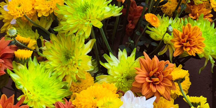 Se consolida la floricultura como actividad en crecimiento en la provincia