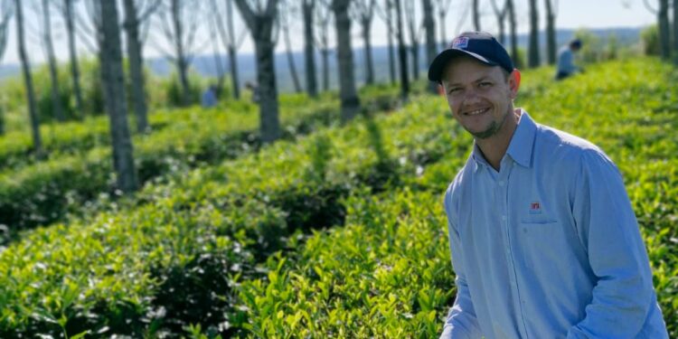 Aportes para el desarrollo del té de especialidad en Misiones