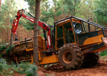 RENATRE certificó en Prácticas Laborales Sostenibles a la primera empresa forestal del país y de Misiones