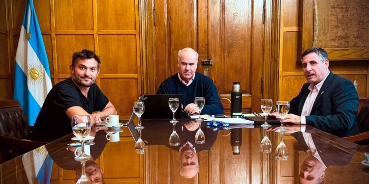 Sin cambios en el Código Alimentario: la yerba mate argentina seguirá siendo exclusivamente Ilex paraguariensis