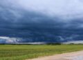 Fenómeno “El Niño”: oportunidades y riesgos para la campaña 2026/27