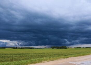 Fenómeno “El Niño”: oportunidades y riesgos para la campaña 2026/27