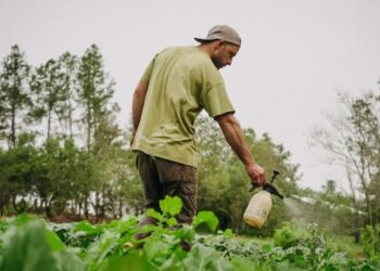 Ciencia misionera impulsa bioinsumos adaptados a cada cultivo