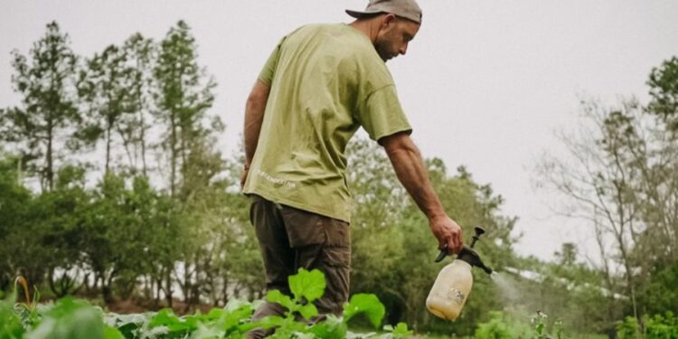 Ciencia misionera impulsa bioinsumos adaptados a cada cultivo