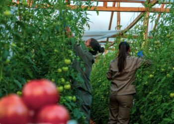 Capacitan  en tecnologías hortícolas sustentables en el Centro Hortícola de San Vicente