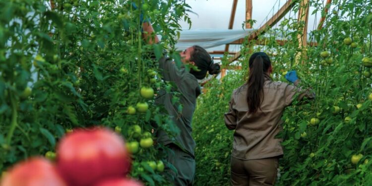 Capacitan  en tecnologías hortícolas sustentables en el Centro Hortícola de San Vicente