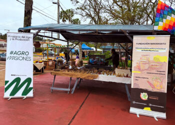 La miel de yateí une producción, monte y cultura guaraní en Misiones