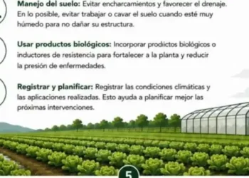Elaboran una guía técnica para  prevenir daños en la producción agropecuaria