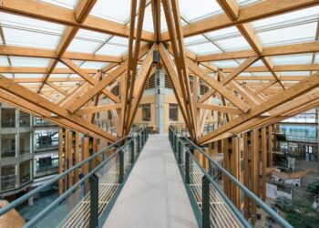 Mass Timber: “un hito para la industria foresto-industrial argentina”