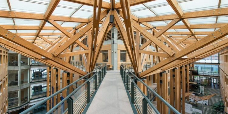 Mass Timber: “un hito para la industria foresto-industrial argentina”
