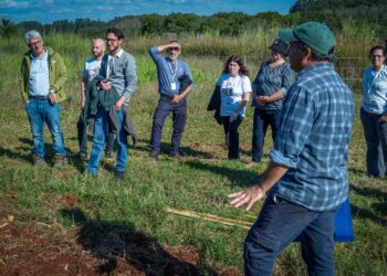 Capacitan en Fitomejoramiento Evolutivo para desarrollar semillas adaptadas a cada territorio
