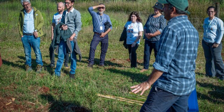 Capacitan en Fitomejoramiento Evolutivo para desarrollar semillas adaptadas a cada territorio