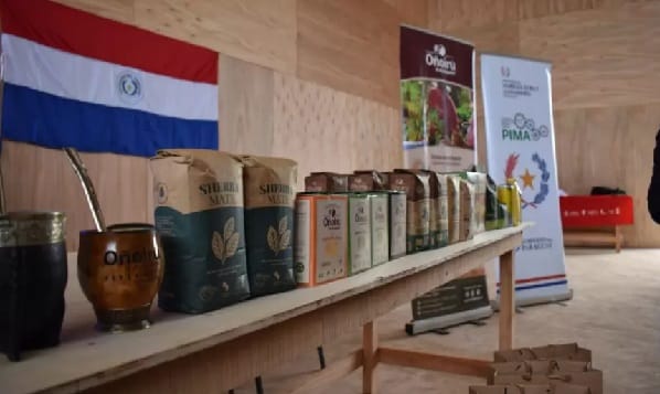 Yerba mate paraguaya ecológica llegará a Europa