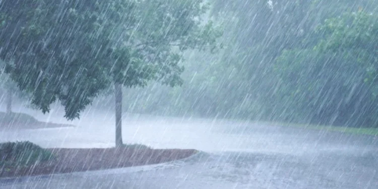 Se viene el “agua”? : pronostican intensas lluvias de más de 200 mm