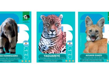 Mundial 2026: lanzan figuritas de especies para celebrar y proteger la biodiversidad