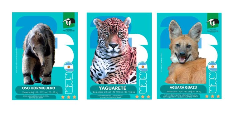 Mundial 2026: lanzan figuritas de especies para celebrar y proteger la biodiversidad