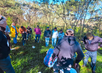 Misiones promueve sistemas productivos más resilientes