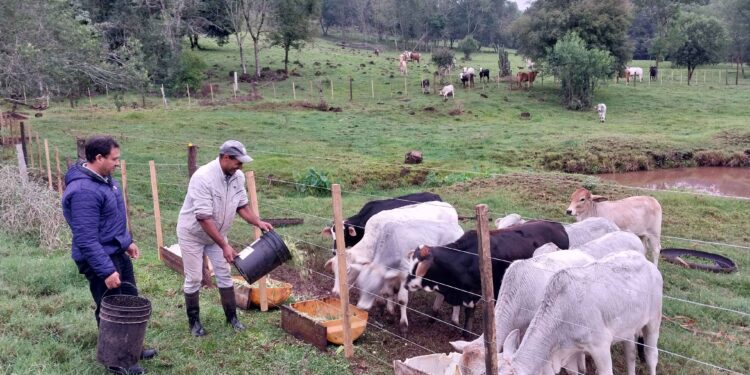 Arroyo del Medio fortalece la ganadería como una oportunidad de desarrollo