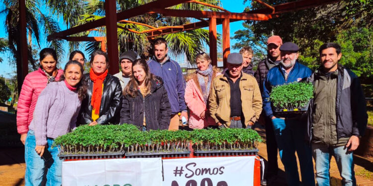 Producción de tomate en chacras tabacaleras de Misiones