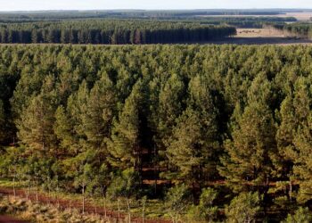 Respaldo de la CEM a la eliminación del Registro Provincial de Infractores Ambientales