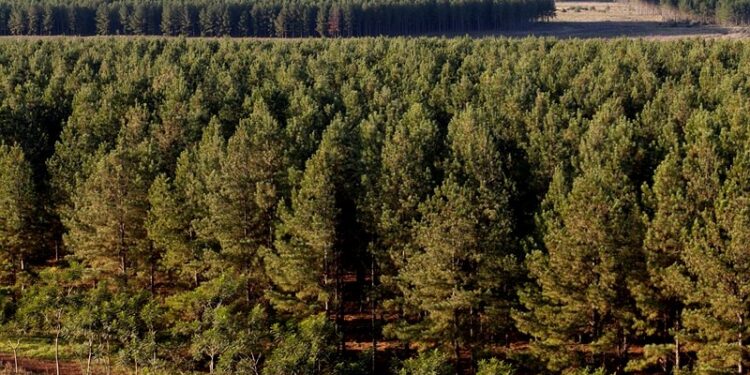 Respaldo de la CEM a la  eliminación del Registro Provincial de Infractores Ambientales