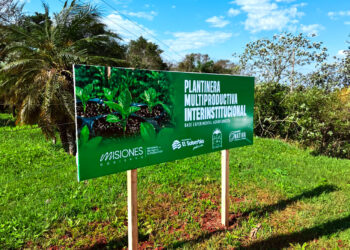 Se consolida una red provincial de plantineras: décimo espacio productivo