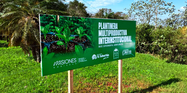 Se consolida una red provincial de plantineras: décimo espacio productivo