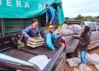 Palta misionera a Tucumán