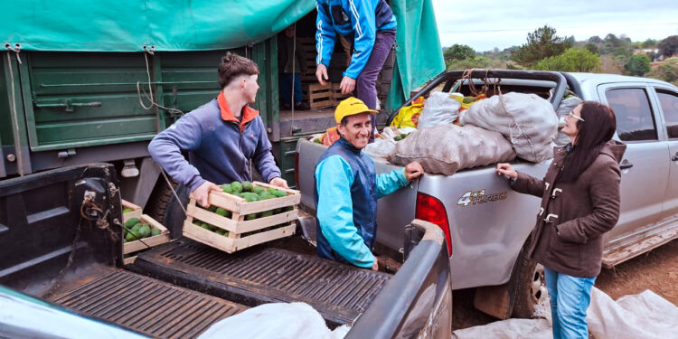 Palta misionera a Tucumán