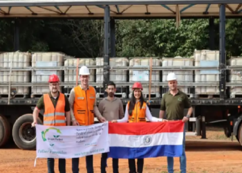 Paraguay exporta resina de pino a Brasil