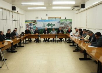 Tabaco de Brasil: la cosecha dejó  710.229 toneladas. El precio promedio tuvo una reducción del 10,8%