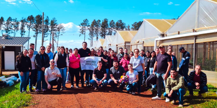 De la hoja de tabaco al invernadero: la floricultura gana terreno en las chacras misioneras