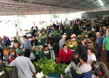 Más de tres décadas de la primera Feria Franca: el modelo que transformó la comercialización de la agricultura familiar