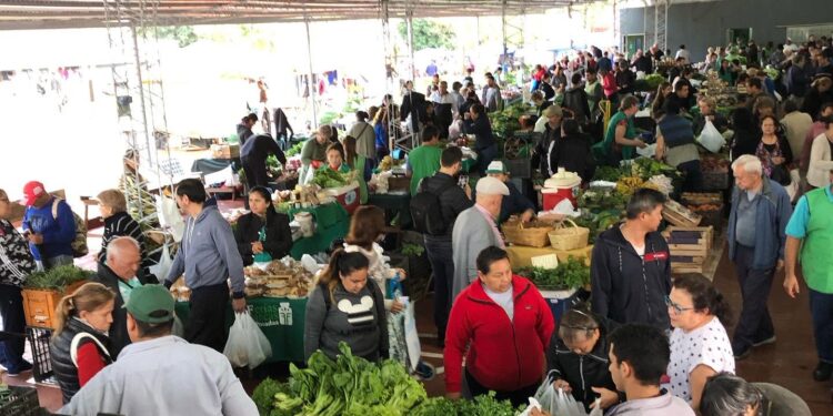 Más de tres décadas de la primera Feria Franca: el modelo que transformó la comercialización de la agricultura familiar