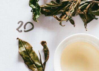 El té del INTA suma reconocimientos