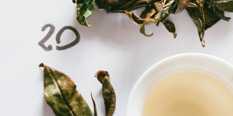 El té del INTA suma reconocimientos