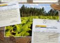 La Cámara del Tabaco de Salta intimó a dos empresas tabacaleras por deudas millonarias con el Fondo Especial del Tabaco