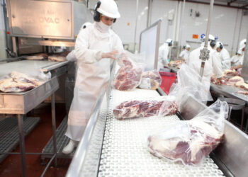 Carne bovina: las exportaciones  aumentaron 10% en el primer semestre