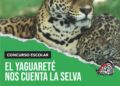 Escuelas al frente de la conservación: lanzan un concurso para que los chicos misioneros alcen la voz por el yaguareté