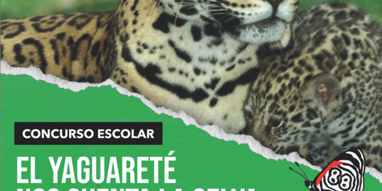 Escuelas al frente de la conservación: lanzan un concurso para que los chicos misioneros alcen la voz por el yaguareté