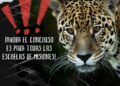 “El yaguareté nos cuenta la selva”