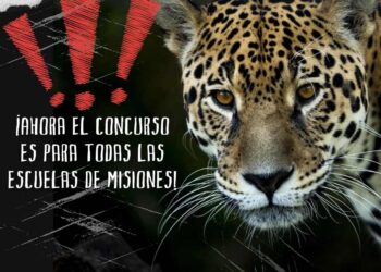 “El yaguareté nos cuenta la selva”