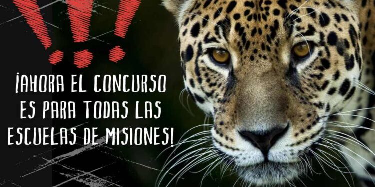 “El yaguareté nos cuenta la selva”