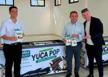 Capitales brasileños transforman el mercado de la mandioca en Colonia Aurora