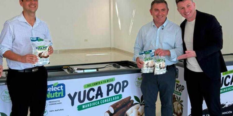 Capitales brasileños transforman el mercado de la mandioca en Colonia Aurora