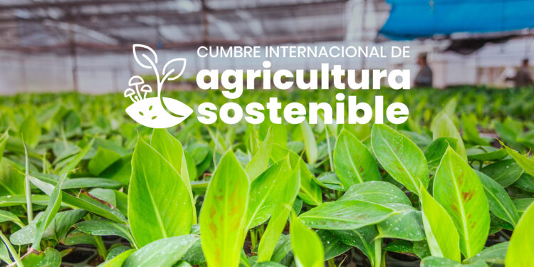 Producción, ciencia y tecnología en dos jornadas