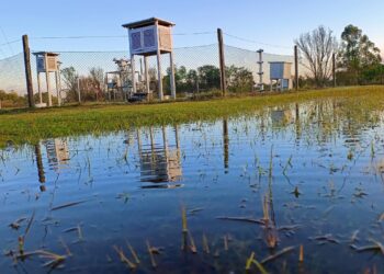 Seis décadas de memoria climáticade la Estación Agrometeorológica de INTA Cerro Azul